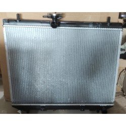 Radiator Gran max Original