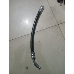 oli coller kuda long