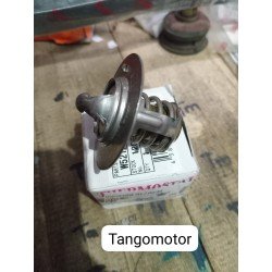THERMOSTAT KIJANG...