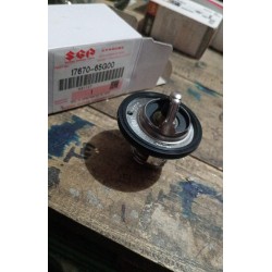 thermostat new carry