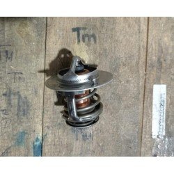 thermostat mobilio /brio...