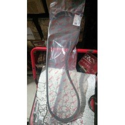 fenbelt avanza 2022 UP